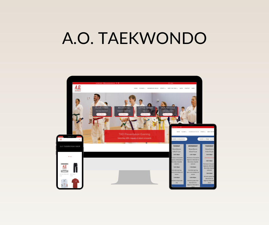 A.O. Taekwondo Website designed by Ninja Designs. Website design for martial arts businesses